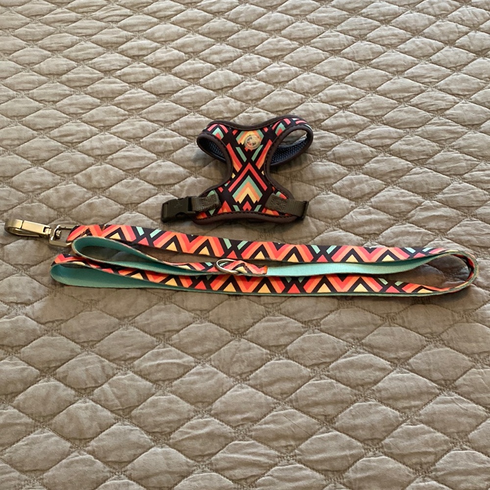 Good2go Dog Harness and Leash